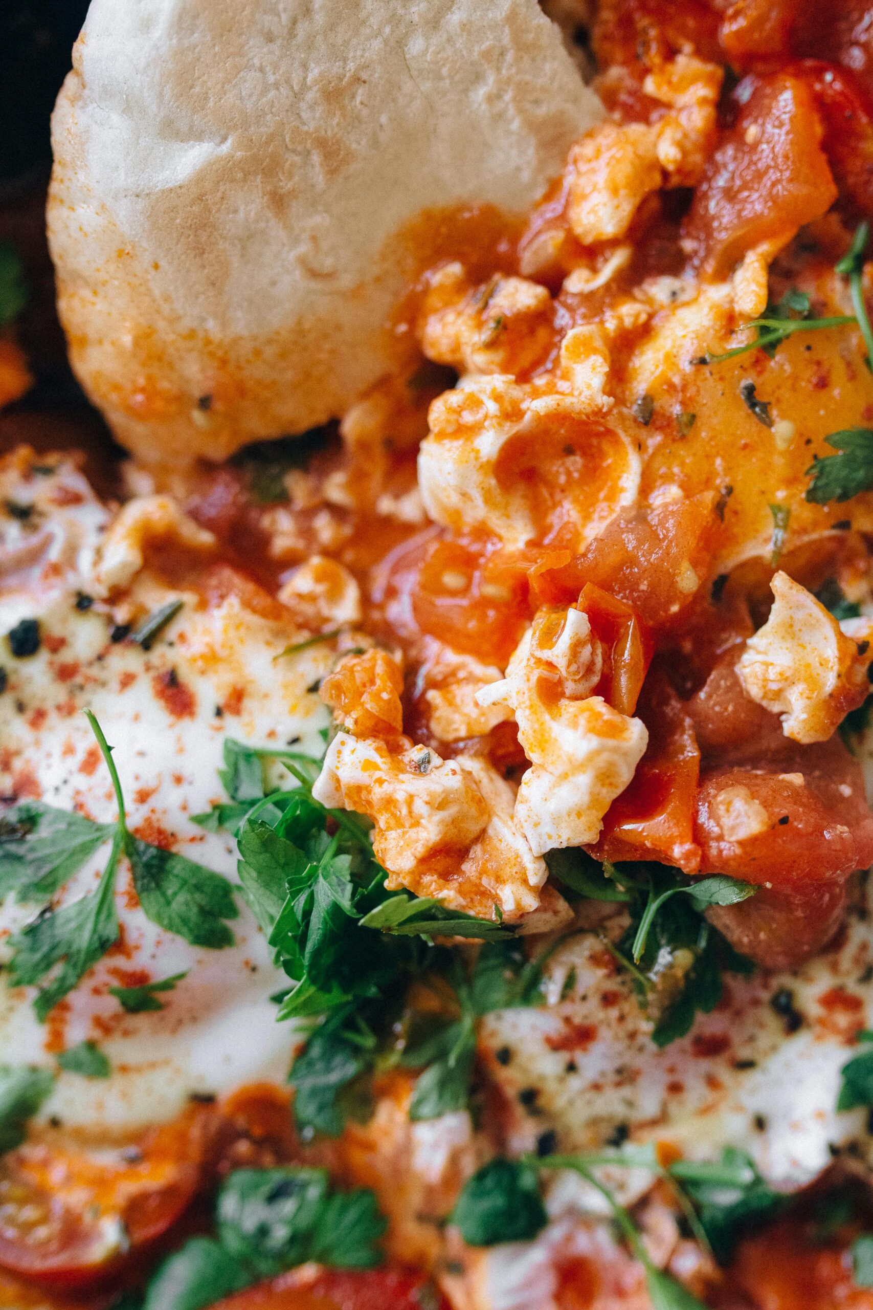 Pyszna szakshuka podawana z pitą, z jajkami, pomidorami i ziołami, stanowi świeży posiłek z Bliskiego Wschodu.