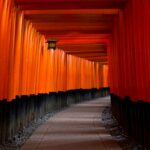 Poznaj kultowe bramy Torii świątyni Fushimi Inari w Kioto w Japonii.