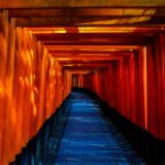 Poznaj oszałamiające pomarańczowe bramy torii Fushimi Inari Taisha w Kioto w Japonii.
