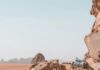 Wielbłądy odpoczywające na piaszczystej pustyni Wadi Rum, ukazujące suche piękno Jordanii i przygody na świeżym powietrzu.
