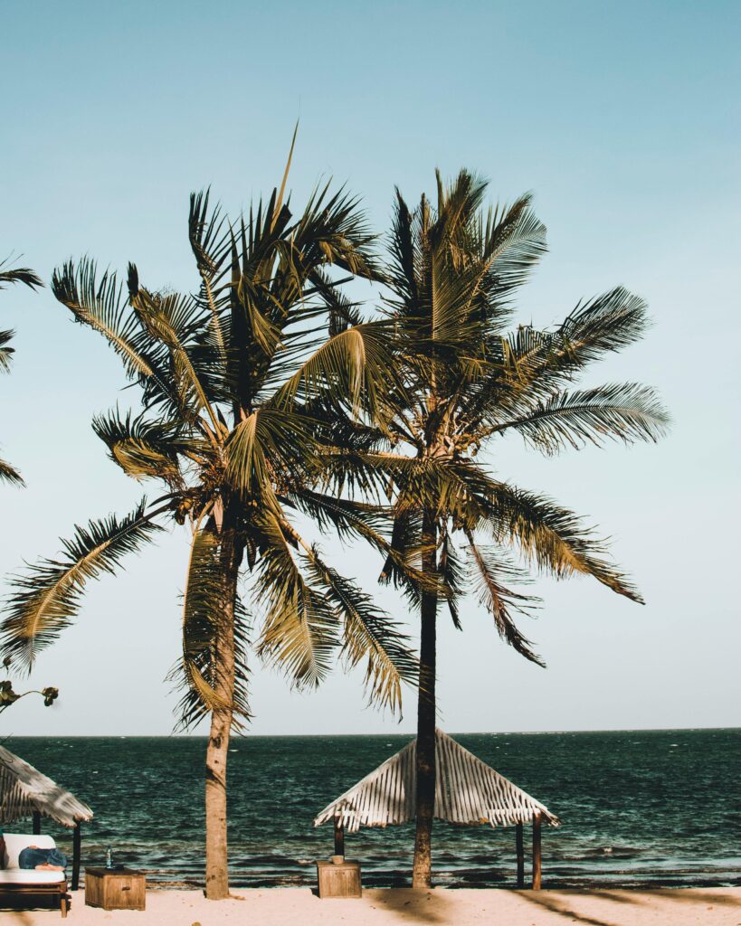 Spokojna, otoczona palmami plaża w Malindi w Kenii, idealna na relaks i inspirację do podróży.
