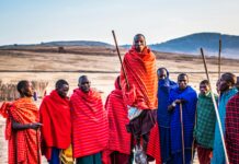 Jak przygotować się na safari w Kenii – poradnik praktyczny Grupa Masajów w żywych tradycyjnych strojach wykonujących kulturalny taniec przez skoki na świeżym powietrzu.