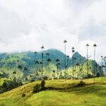 Piękny widok na Valle de Cocora z kultowymi palmami woskowymi i bujnymi zielonymi wzgórzami w Kolumbii.