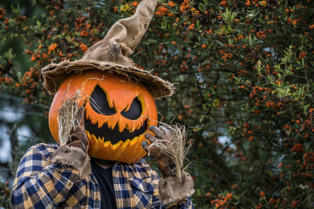 Straszny kostium dyni z kapeluszem i koszulą w kratę w naturalnym otoczeniu na Halloween.