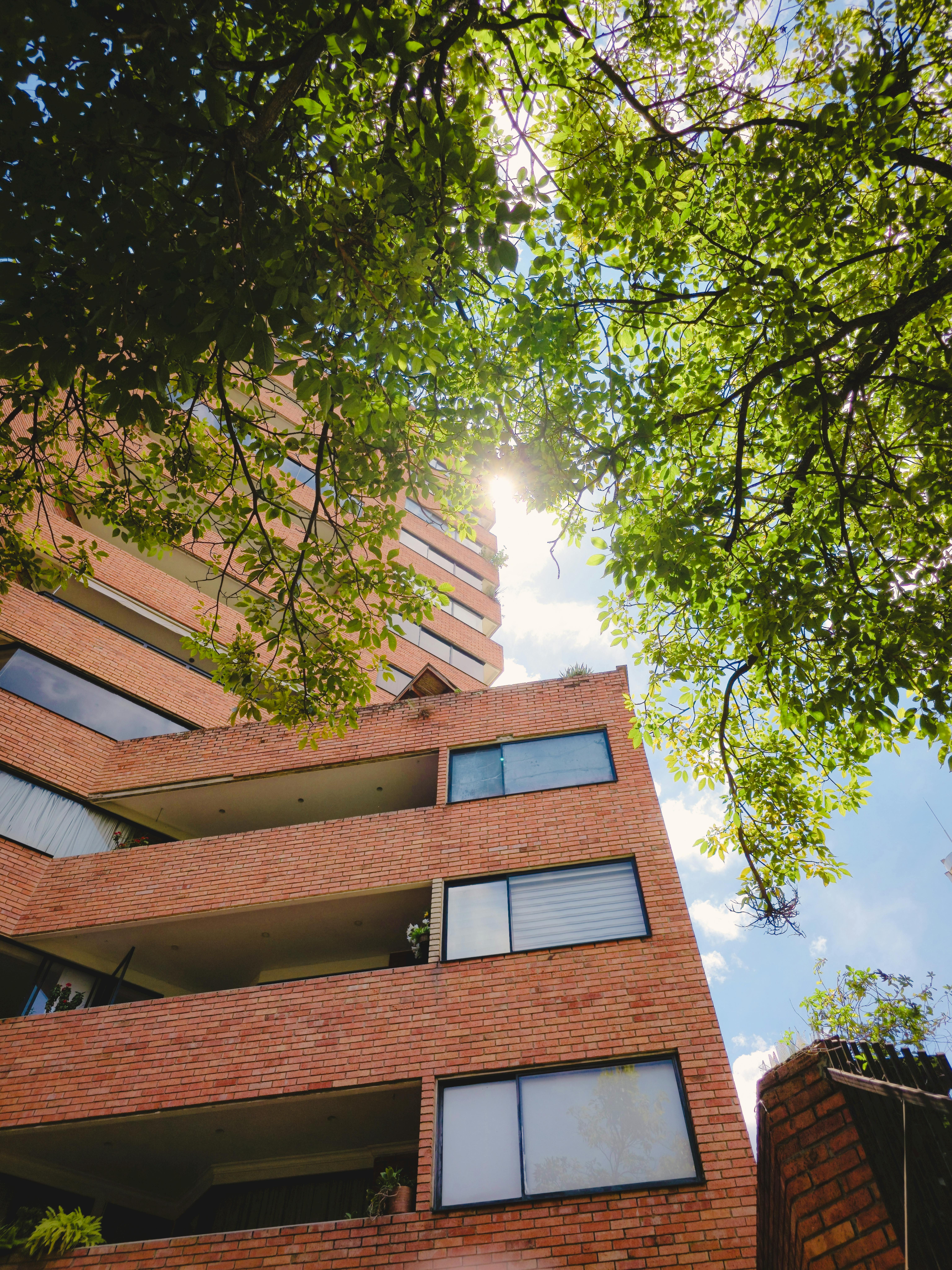 Ciudad Perdida: Tajemnicze miasto ukryte w dżungli Odkryj nasłoneczniony widok na nowoczesne ceglane mieszkanie w Bucaramanga.