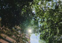 Zipaquirá: Katedra solna w sercu kopalni Odkrywanie nowoczesnej architektury i zieleni w Bucaramanga w Kolumbii.