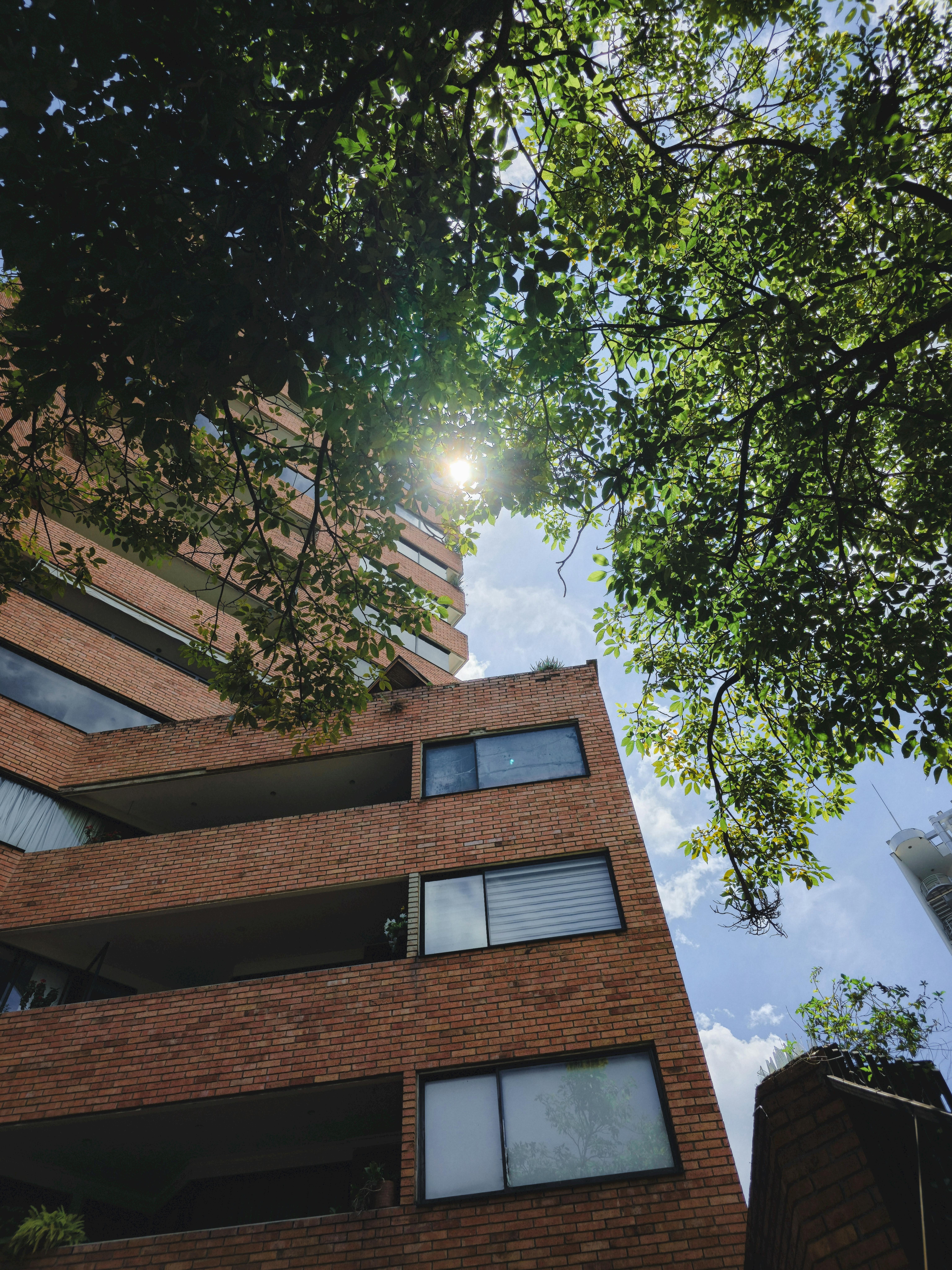 Odkrywanie nowoczesnej architektury i zieleni w Bucaramanga w Kolumbii.