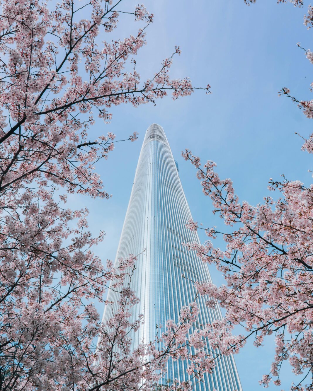 Nowoczesny drapacz chmur góruje nad różowymi kwiatami, oddając świeżość wiosny w miejskim otoczeniu.
