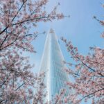 Nowoczesny drapacz chmur góruje nad różowymi kwiatami, oddając świeżość wiosny w miejskim otoczeniu.