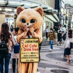 Maskotka kota promująca kocią kawiarnię na tętniącej życiem ulicy miasta, nawiązująca kontakt z przechodniami.