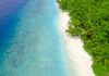 Oszałamiający widok z lotu ptaka na tętniącą życiem tropikalną plażę i bujny zielony las.
