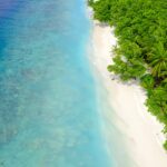 Oszałamiający widok z lotu ptaka na tętniącą życiem tropikalną plażę i bujny zielony las.