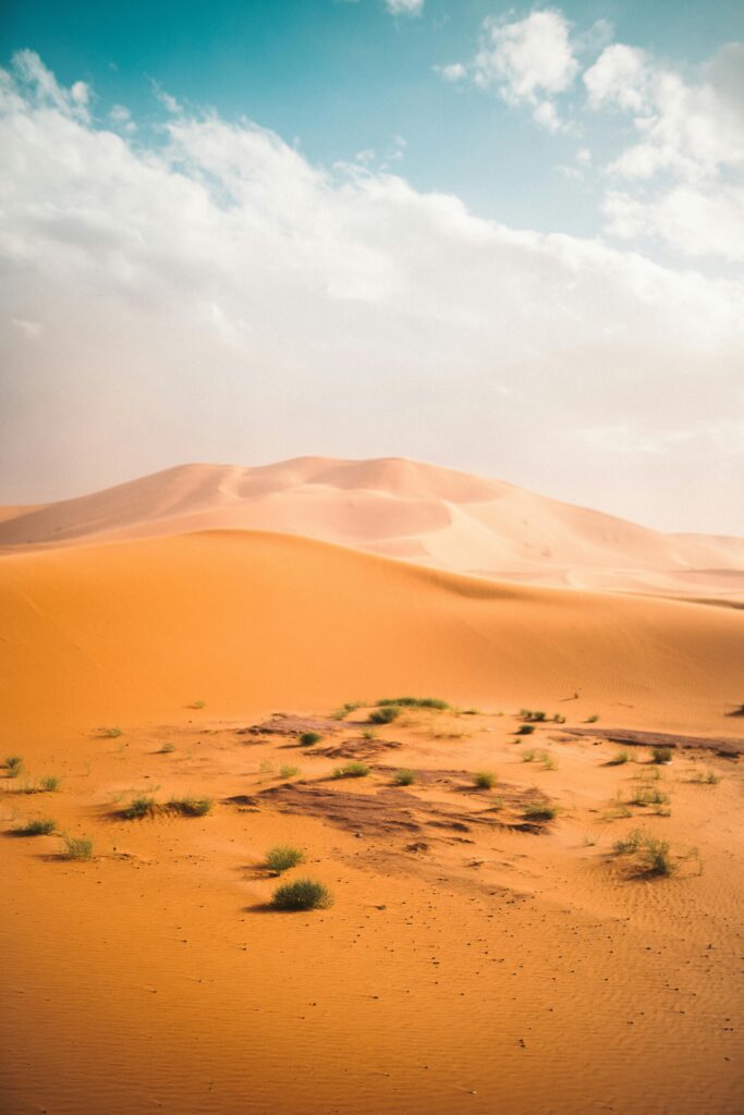 Ogromne wydmy pod jasnym niebem na pustyni Al Wahat Al Dakhla w Egipcie.