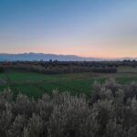 System edukacji w Maroku – szkoły, uniwersytety i wyzwania Malowniczy widok na bujne pola uprawne w pobliżu Marrakeszu o świcie, ukazujący tętniący życiem marokański krajobraz.