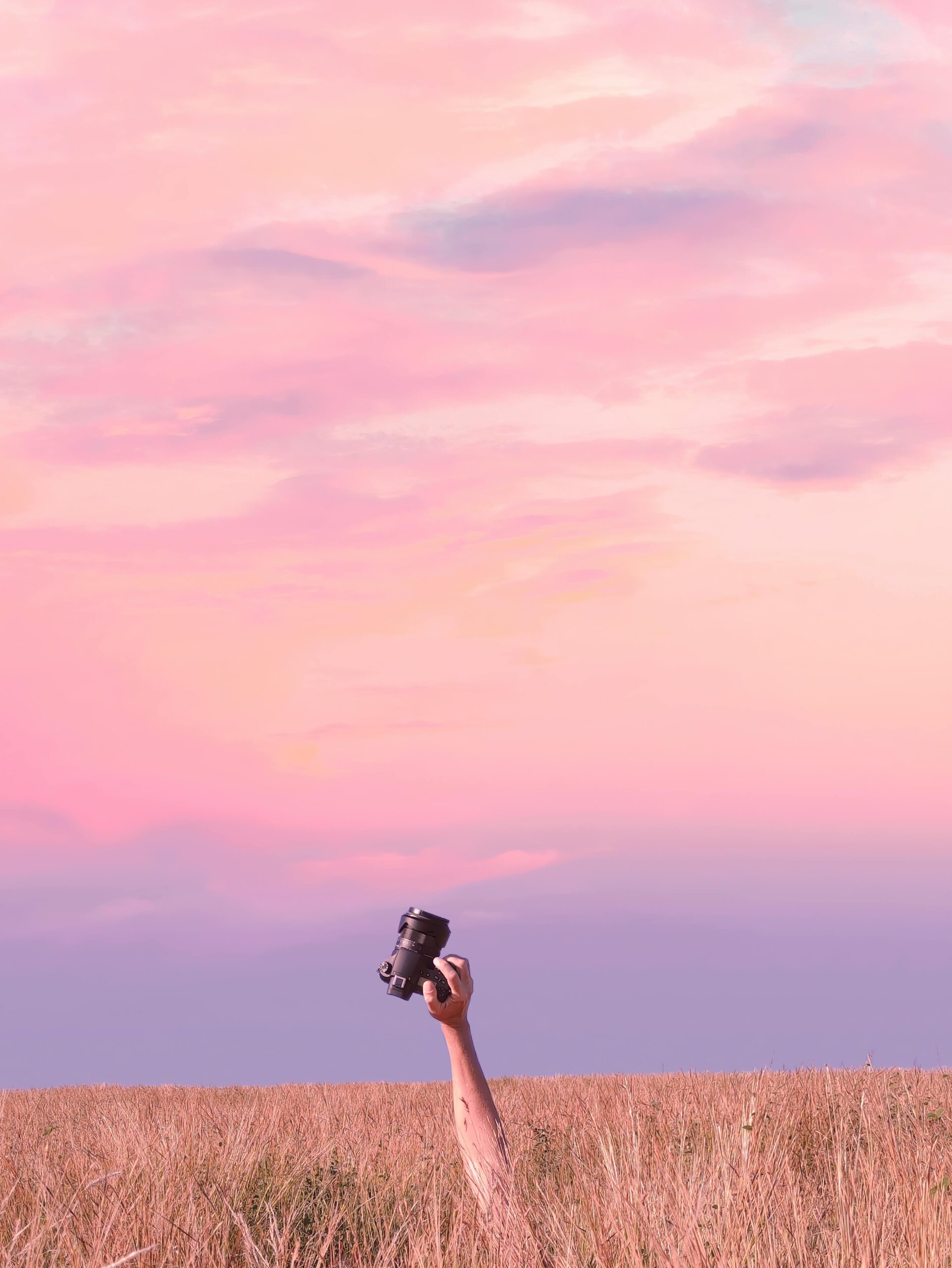 Nie do poznania dłoń trzymająca aparat na tle pięknego różowego nieba o zmierzchu na trawiastym polu, La Réunion.
