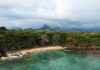 Oszałamiający widok z lotu ptaka na plażę w dystrykcie Rivière Noire na Mauritiusie, na tle bujnych drzew i gór.