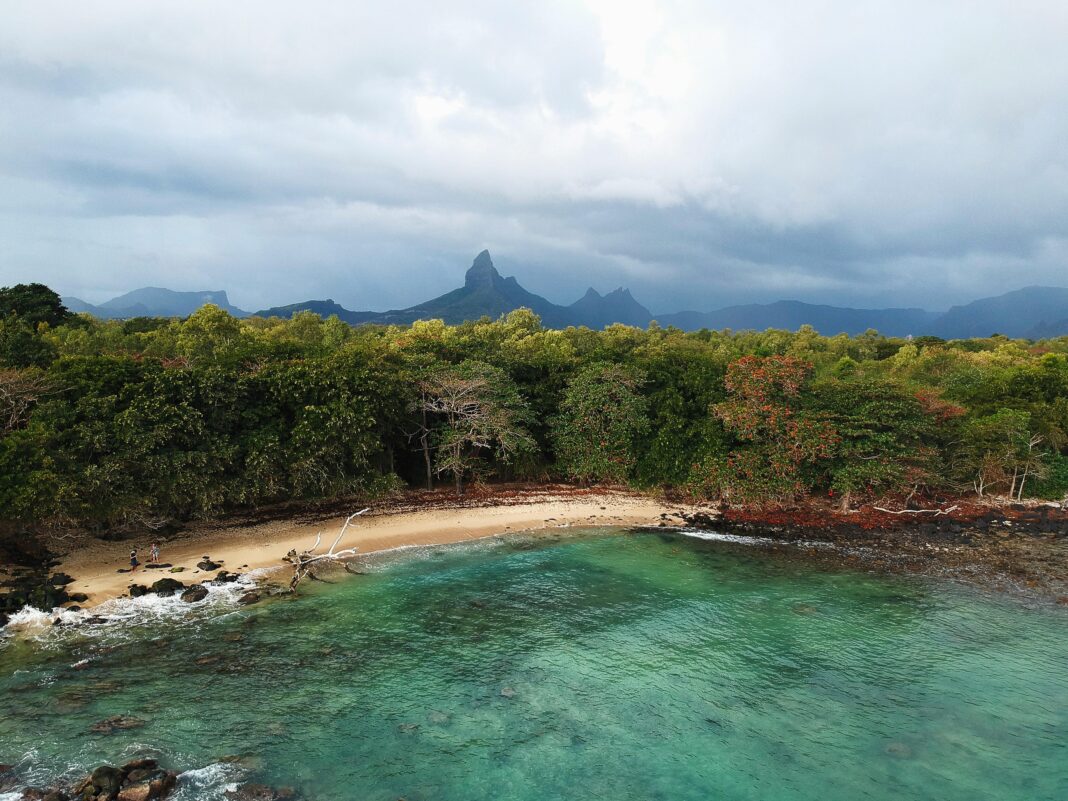 mauritius Oszałamiający widok z lotu ptaka na plażę w dystrykcie Rivière Noire na Mauritiusie, na tle bujnych drzew i gór.