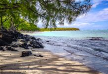 Odkryj spokojne piękno tropikalnej plaży na Mauritiusie, charakteryzującej się żywą zielenią, czystą wodą i spokojną atmosferą.