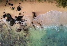 Oszałamiający widok z lotu ptaka na piaszczystą plażę z drewnem wyrzuconym na brzeg i turkusowymi wodami na Mauritiusie.
