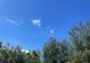 Odkryj spokojną atmosferę przy basenie w tropikalnym kurorcie z bujną zielenią i czystym, błękitnym niebem.