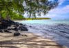 Odkryj spokojne piękno tropikalnej plaży na Mauritiusie, charakteryzującej się żywą zielenią, czystą wodą i spokojną atmosferą.