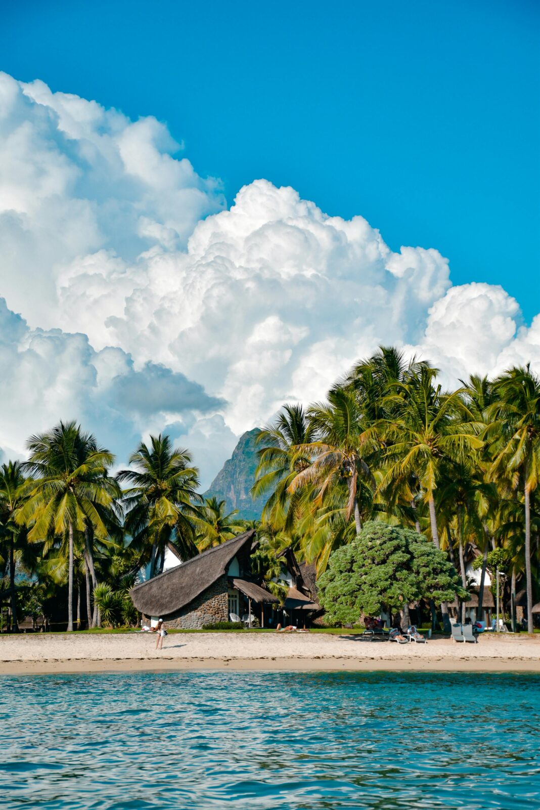 mauritius Oszałamiający widok na plażę w Flic en Flac na Mauritiusie z palmami i malowniczymi górami.