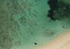Zdjęcia lotnicze malowniczej plaży z czystą wodą i łodzią w Le Morne na Mauritiusie.