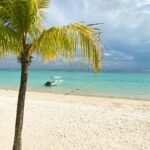 Tropikalna plaża ze sceną palm i łodzi w Trou-aux-Biches na Mauritiusie.
