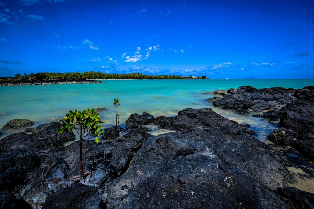 mauritius Żywy krajobraz morski z czarnymi skałami lawowymi i czystymi, błękitnymi wodami na Mauritiusie.