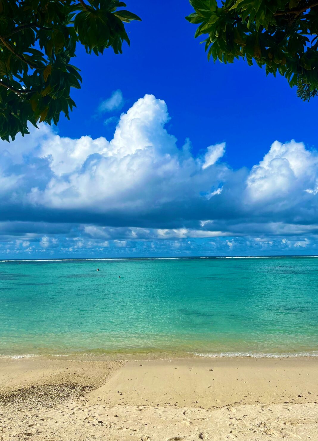 mauritius Zapierająca dech w piersiach scena na plaży z czystymi, błękitnymi wodami i tętniącym życiem niebem na Mauritiusie.