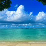 Ogród botaniczny Sir Seewoosagur Ramgoolam Zapierająca dech w piersiach scena na plaży z czystymi, błękitnymi wodami i tętniącym życiem niebem na Mauritiusie.