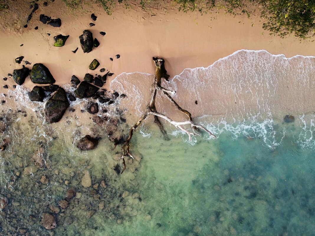 mauritius Oszałamiający widok z lotu ptaka na piaszczystą plażę z drewnem wyrzuconym na brzeg i turkusowymi wodami na Mauritiusie.