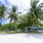 Port Louis – stolica Mauritiusa pełna kontrastów Spokojna tropikalna okolica z palmami i jasnoniebieskim niebem, idealna do relaksu i robienia zdjęć z wakacji.