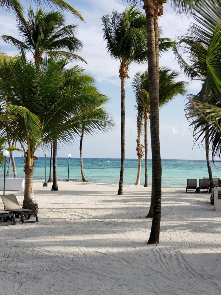 Relaksująca tropikalna plaża w Cancún z palmami i leżakami na piaszczystym brzegu.