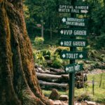 Znaki kierunkowe w bujnym ogrodzie w Katmandu w Nepalu, wskazujące różne atrakcje.