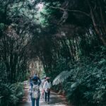 Grupa przyjaciół wędrujących po bujnym lesie w słoneczny dzień, cieszących się przyrodą i przygodą.