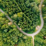 Krótkie wyjazdy po Polsce – jak odkrywać lokalne perełki? Oszałamiające zdjęcia lotnicze krętej drogi przez bujny zielony las w Czechach.