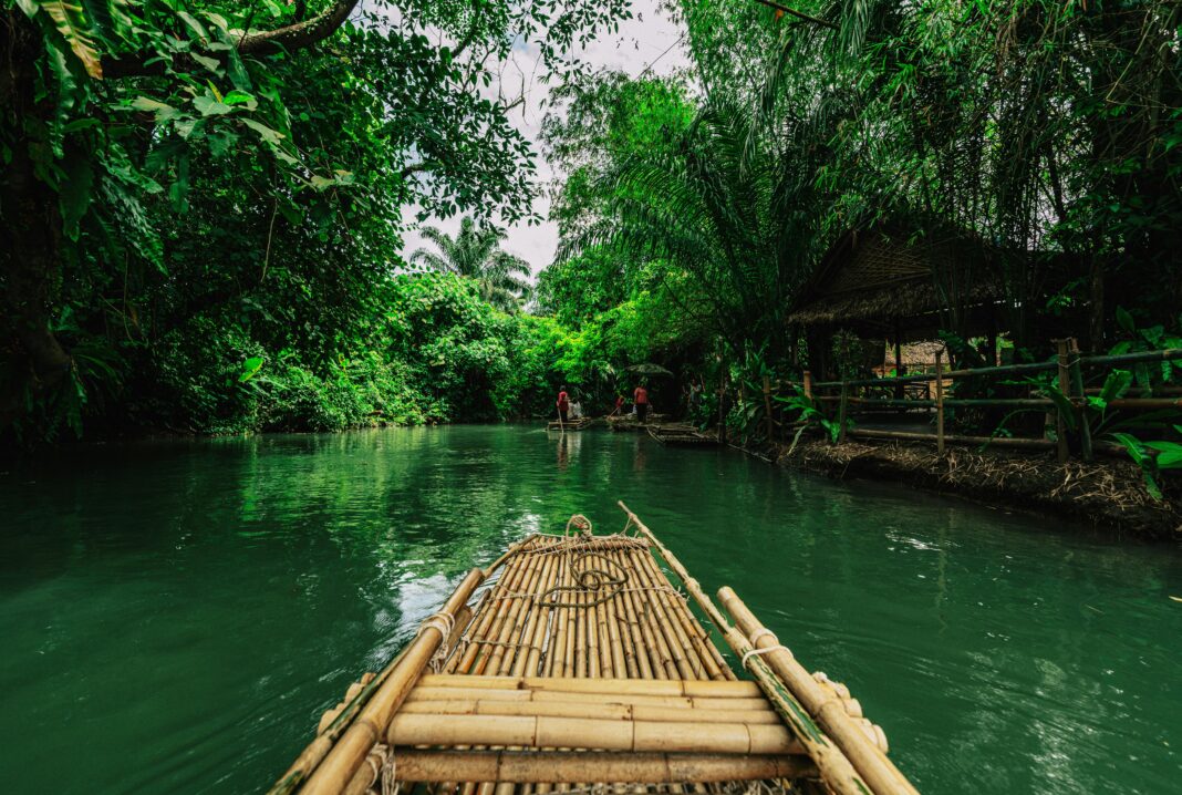 podroz Spływ bambusem po zielonej rzece w bujnej dżungli Krabi.