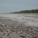 Wczasy dla seniora w Dźwirzynie – zalety spokojnego wypoczynku nad morzem Wczasy dla seniora w Dźwirzynie – zalety spokojnego wypoczynku nad morzem