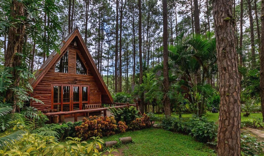 katalogdomkowwnaturzeczil