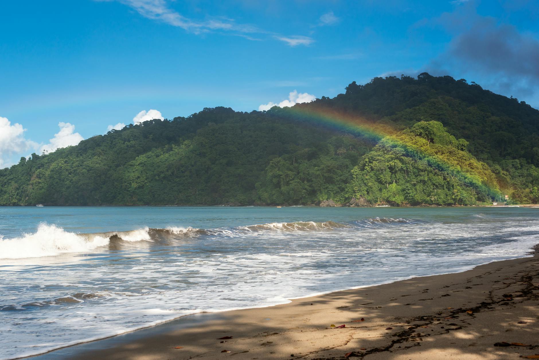 Tęcza nad zielonym wzgórzem i piaszczystą plażą na Trynidadzie i Tobago