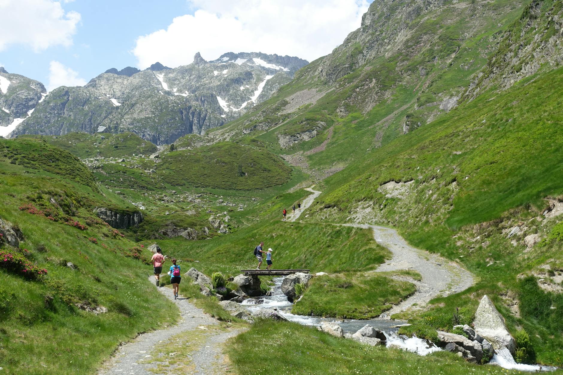 Turyści na letnim szlaku z widokiem na skaliste górskie szczyty