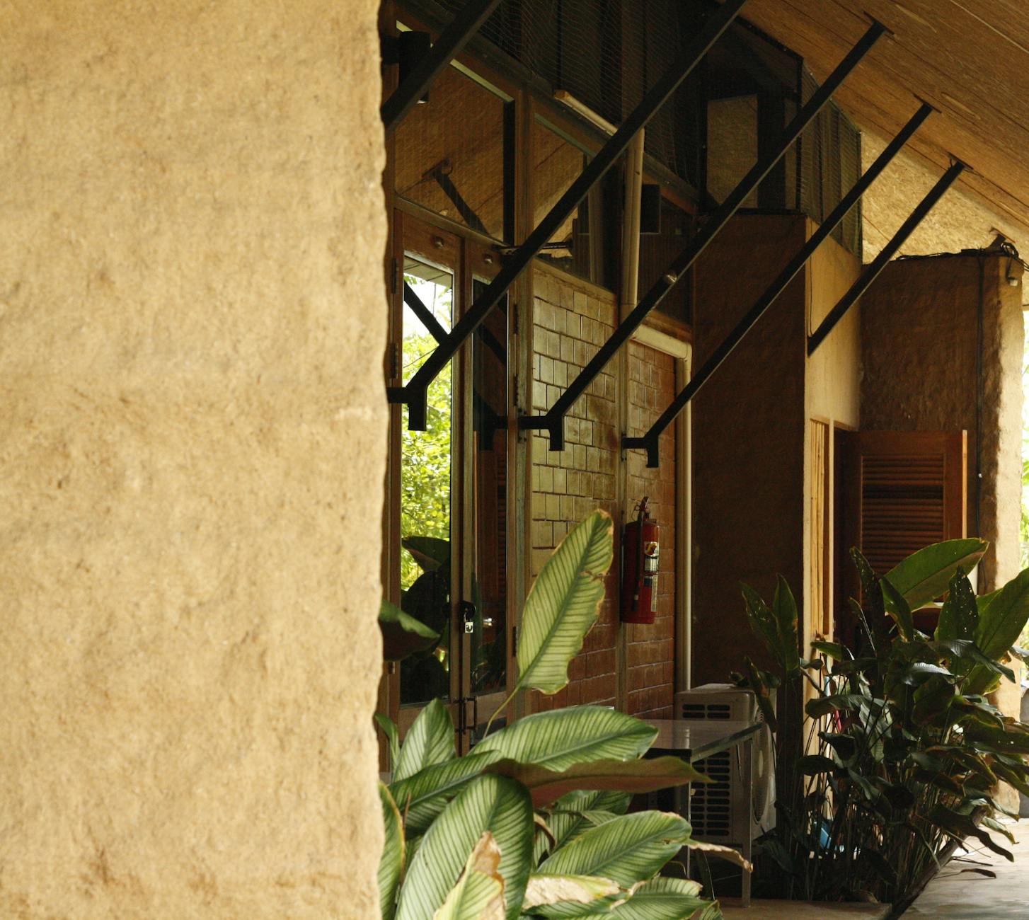 Zielony budynek wśród tropikalnej roślinności w Chiang Mai, Tajlandia