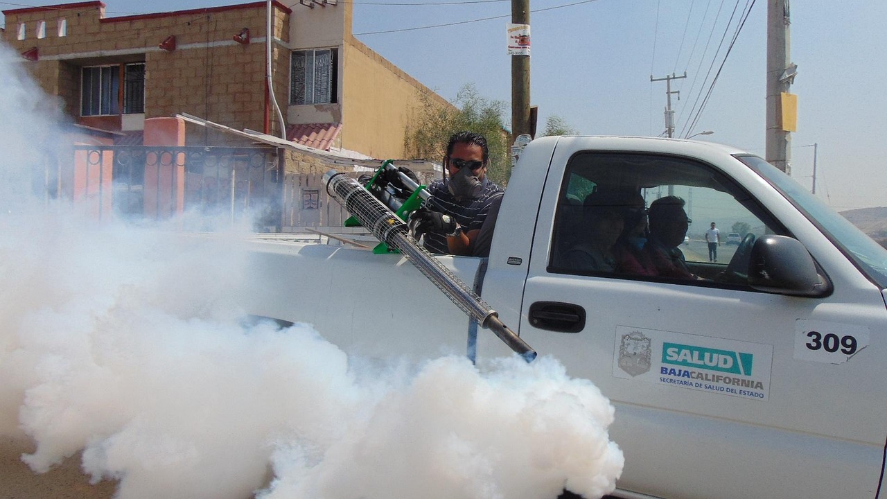 Pluskwy po podróży w Łodzi: co sprawdzić najpierw ernestoeslava-fumigation-2772381_1280