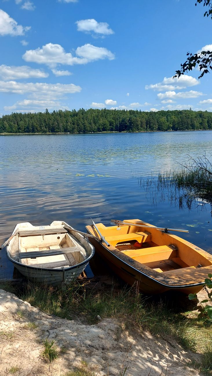 Odpoczynek-blisko-natury-idealny-weekend-nad-Jeziorem-Lusowskim Odpoczynek blisko natury - idealny weekend nad Jeziorem Lusowskim